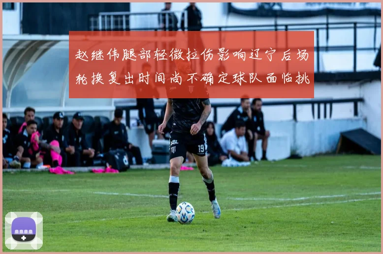 赵继伟腿部轻微拉伤影响辽宁后场轮换复出时间尚不确定球队面临挑战
