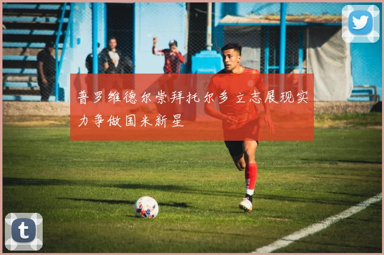 普罗维德尔崇拜托尔多立志展现实力争做国米新星